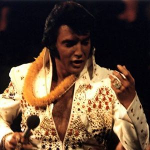 Meet your Posher, Wanda